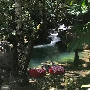  Holiday home Daintree Secrets Rainforest Sanctuary